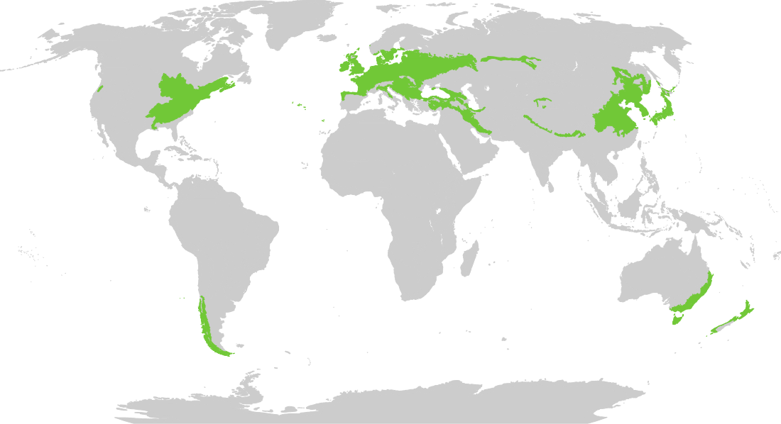 Temperate broadleaf and mixed forests