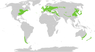 A kép leírása Biome_map_04.svg.