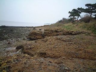 Portishead Pier to Black Nore SSSI