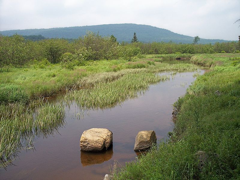 File:Blackwater River Canaan Valley Resort State Park.jpg