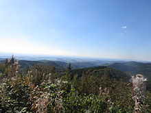 Blick vom Ravensberg westwärts in Richtung Bad Lauterberg