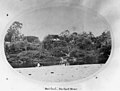 Boating and fishing on the Herbert River near Gairloch, Queensland, ca. 1881 (8259951756).jpg
