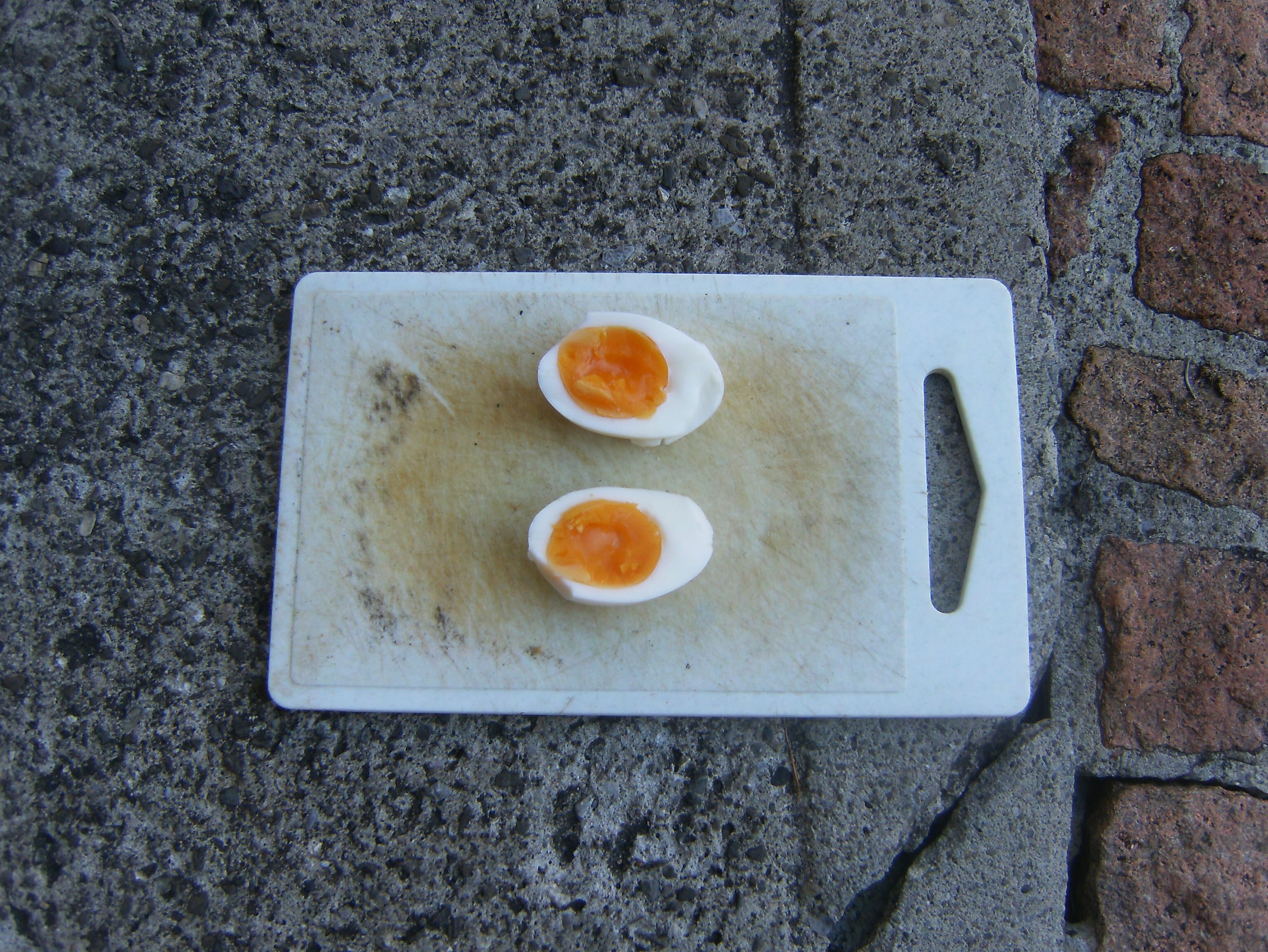 https://upload.wikimedia.org/wikipedia/commons/thumb/4/44/Boiled.eggs.6456.JPG/2560px-Boiled.eggs.6456.JPG