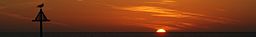 Borth Sunset banner.jpg
