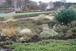 Miniatura para Jardín botánico de Aarhus