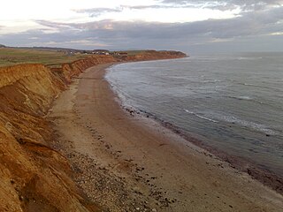 <span class="mw-page-title-main">Brook Bay</span>