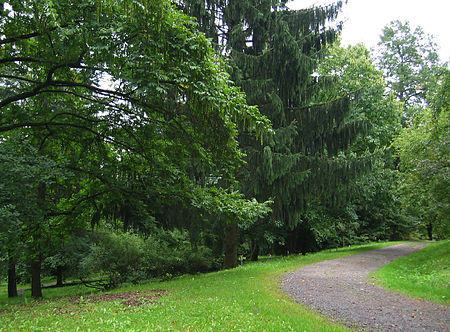 Buddenberg Arboretum 2004