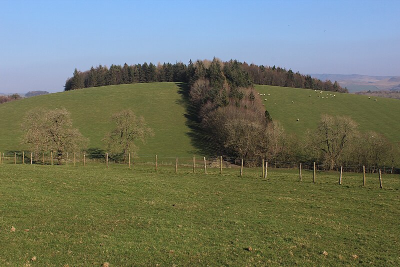 File:Butter Haw Hill - A Perfect Drumlin - geograph.org.uk - 6078198.jpg