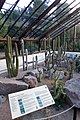 Cacti room in the Cambridge University Botanic Gardens in Cambridge. [134]