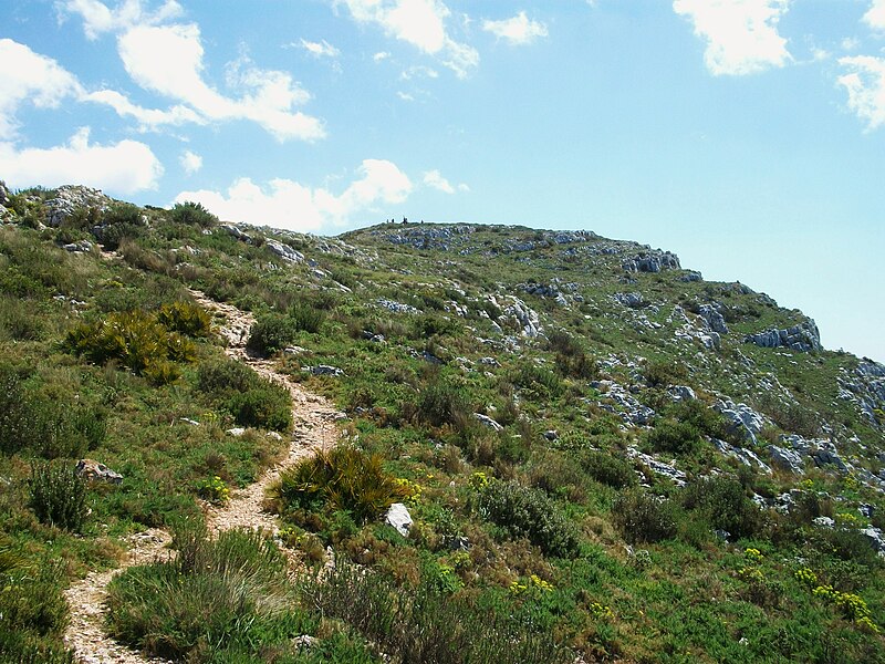 File:Camí cap al cim, Montgó.JPG