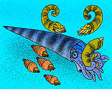 Restoration of the Late Ordovician nautiloid cephalopod Aphetoceras being preyed upon by a Cameroceras Cameroceras trentonese.jpg