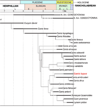 Evolutionary timeline