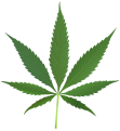 Cannabis leaf