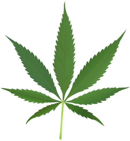 Fail:Cannabis_leaf_2.svg