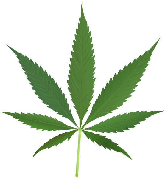 File:Cannabis leaf 2.svg