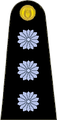 Exército Argentino (Capitán)