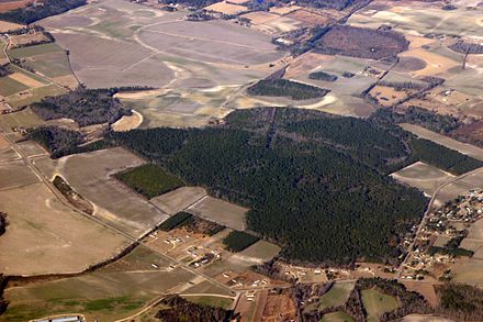 More than a dozen bays are shown in this photo in southeastern North Carolina. Several are cleared and drained for farming. Carolinabays.jpg