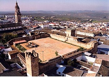 Alcazaba de Bujalance desde el aire