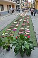 "Flower carpet" during the traditional Enramades d'Arbúcies