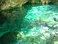 Cenote surface.JPG