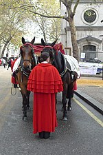 Coachman in red cape London Nov 2011.jpg