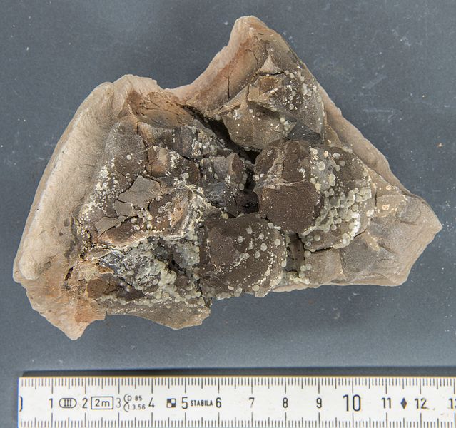 File:Concretion 14 hg.jpg