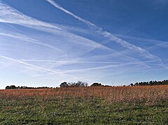 Teoria del complotto sulle scie chimiche