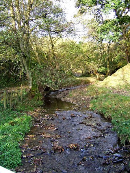 File:Crochen Brook near Cwm Collo - geograph.org.uk - 1014395.jpg