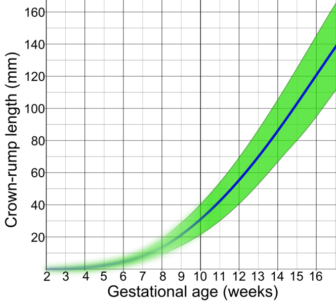 File:Crown-rump length by gestational age.png