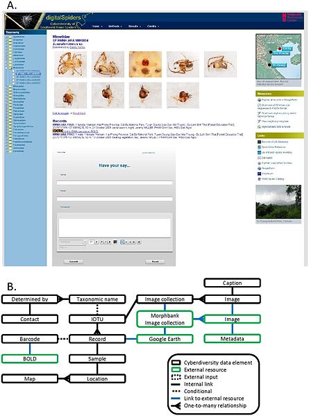 File:Cyberdiversity-Improving-the-Informatic-Value-of-Diverse-Tropical-Arthropod-Inventories-pone.0115750.g002.jpg