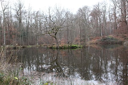 DA Kranichstein Dianateich