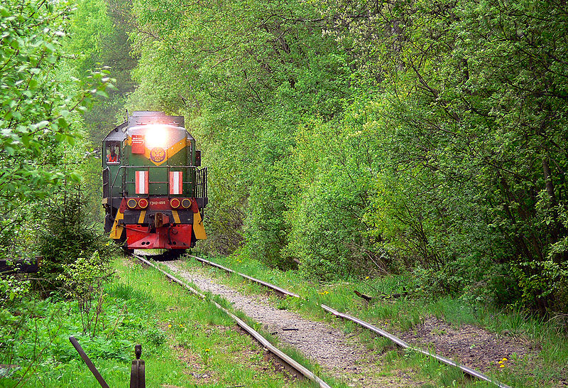 File:Diesel locomotive (3230983949).jpg