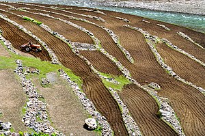 Agriculture Au Pakistan