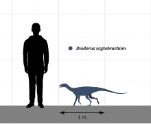 Silhouette of a human and a smaller, quadrupedal animal