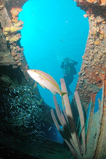 Wreck diving