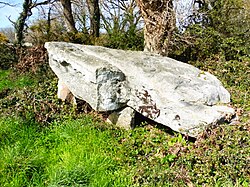 Image illustrative de l’article Dolmen de Coët-Courzo