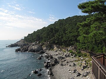 File:Dongbaek_island_Busan.jpg