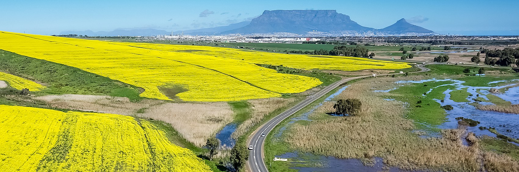 Driving in South Africa