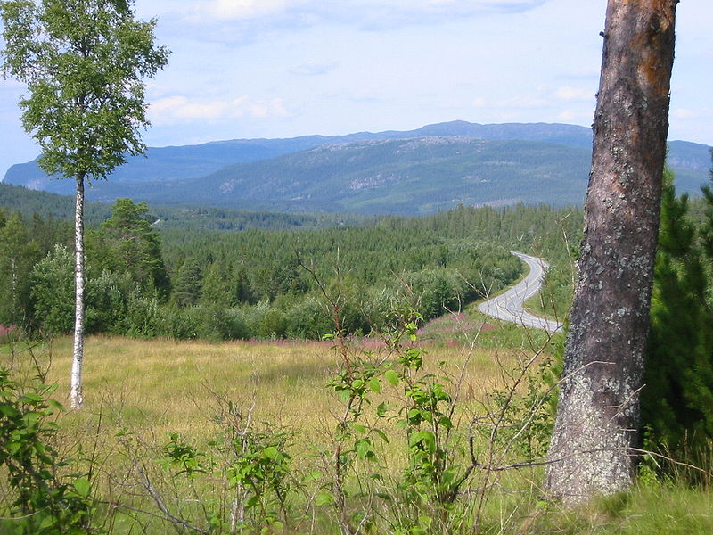 File:E6-Grong-Namdalen.jpg