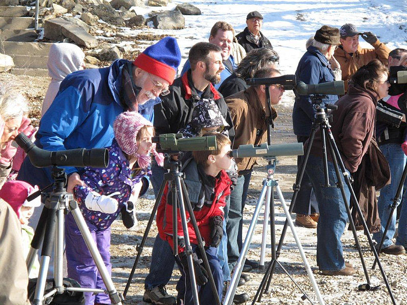 File:Eagle Day at Tuttle Creek Lake.jpg