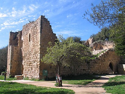 How to get to עין חמד with public transit - About the place