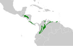 Distribución geográfica del fiofío montano.