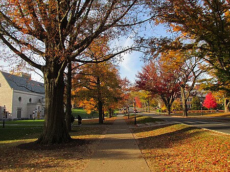 Tập tin:Elm Drive, Princeton University, Princeton NJ.jpg