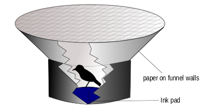 An Emlen funnel is used to study the orientation behaviour of migratory birds in a laboratory. Experimenters sometimes place the funnel inside a planetarium to study night migration.
