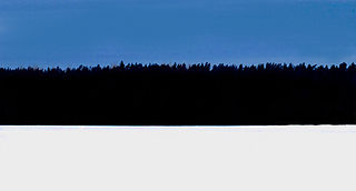 Efterår flyde tandpine File:Estonian flag winter forest.jpg - Wikimedia Commons