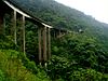 One of the roads that cross the Serra do Mar State Park.