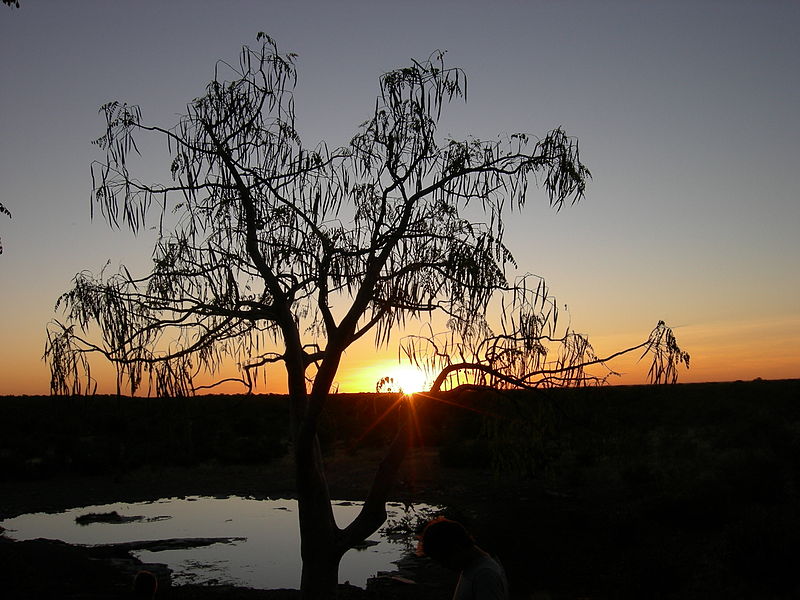 File:Etosha National Park, Namibia (2896419564).jpg