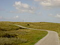 Fahrradweg mit Leuchtturm auf Ameland.JPG