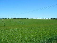 Farmland off Swinton Lane - geograph.org.uk - 2441009.jpg