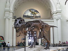 Sue as originally mounted in Stanley Field Hall Field Museum August 2010 1 (Sue).JPG